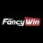 fancywintop